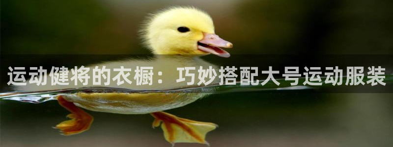 千亿国际手机新版app