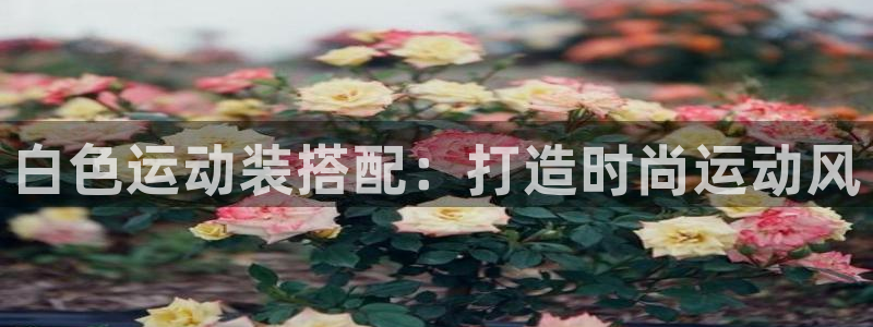 千亿棋牌官网最新版qy911