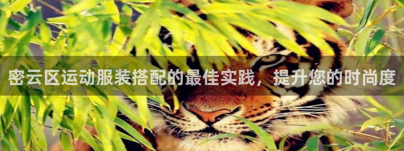 千亿国际的官网入口