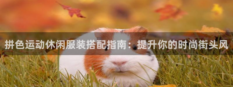千亿国际手机新版app