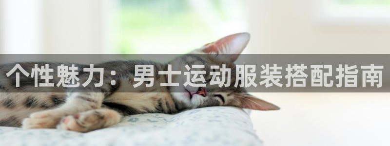 千亿国际的官网入口